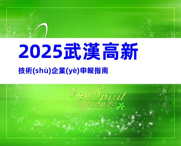 2025武漢高新技術(shù)企業(yè)申報指南