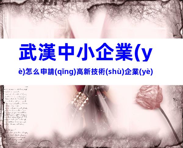 武漢中小企業(yè)怎么申請(qǐng)高新技術(shù)企業(yè)