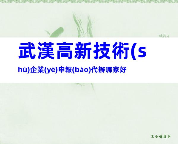 武漢高新技術(shù)企業(yè)申報(bào)代辦哪家好