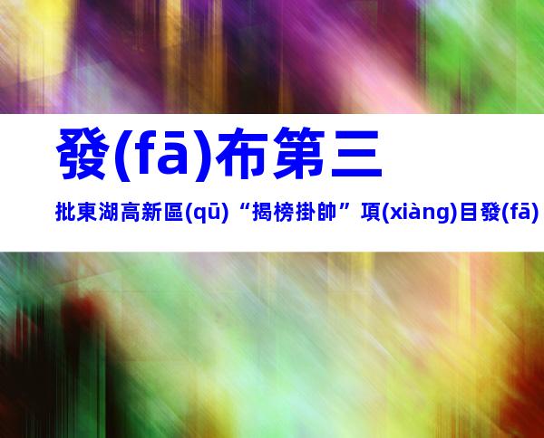 發(fā)布第三批東湖高新區(qū)“揭榜掛帥”項(xiàng)目發(fā)榜方需求申報(bào)條件方式及補(bǔ)貼要求