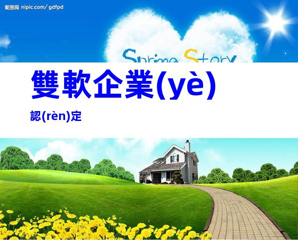 雙軟企業(yè)認(rèn)定